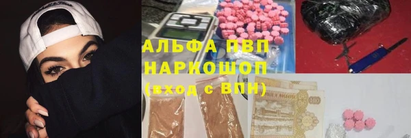 сатива Бородино